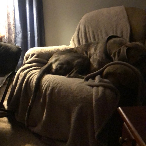 Meet your Posher, Jennifer - Picture 1 of 1